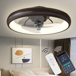 20 Inch Ceiling Fan with Lights Dimmable LED