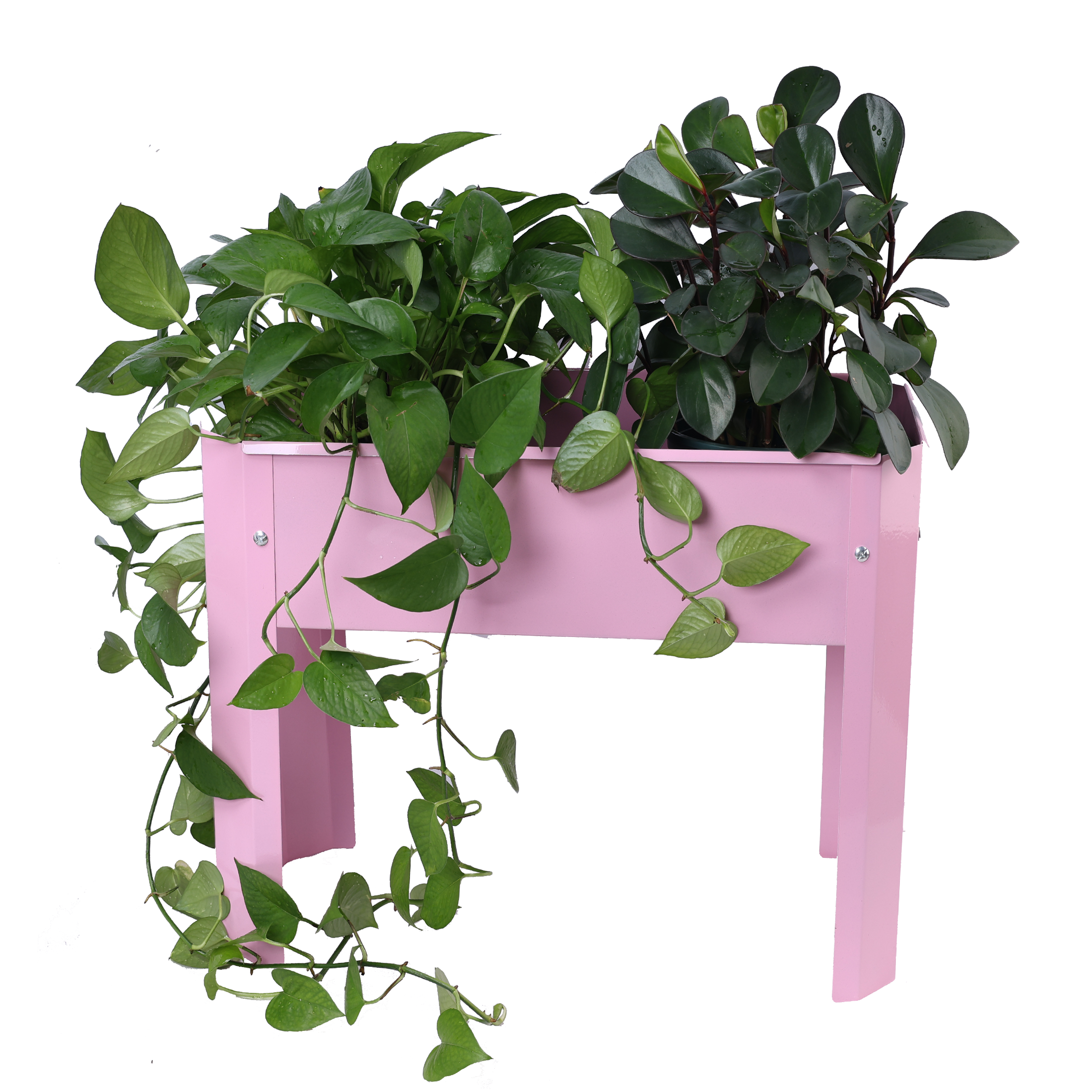 Elevated garden bed, metal elevated outdoor flowerpot box, suitable for backyard and terrace, large flowerpot, suitable for vegetable and flower    Pink*2