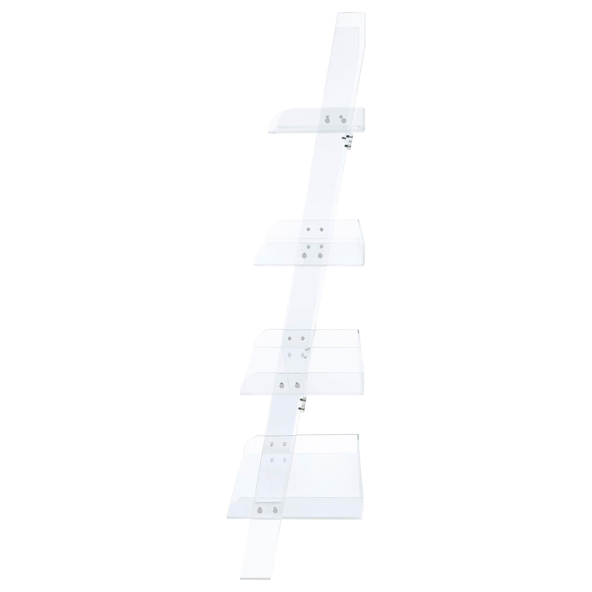 Clear Acrylic Ladder Bookcase