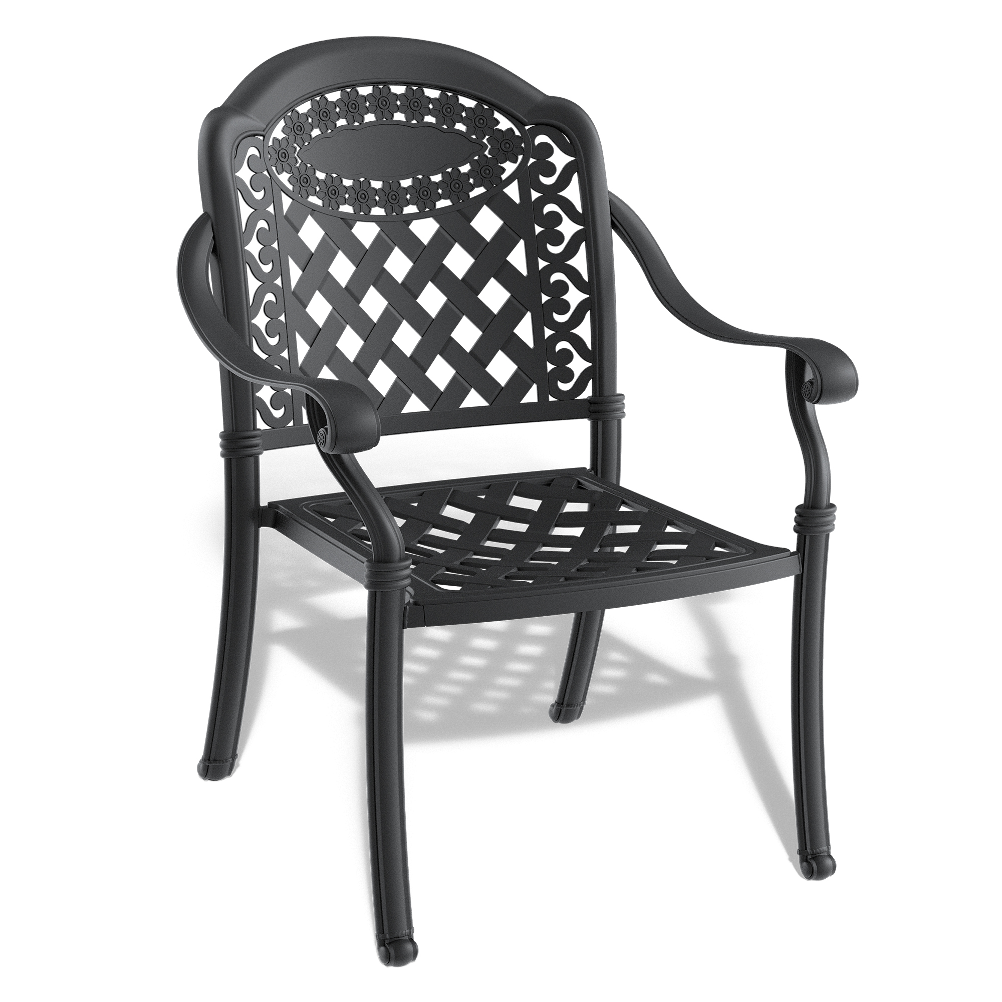 Cast Aluminum Patio Dining Chair 2PCS With Black Frame and Cushions In Random Colors