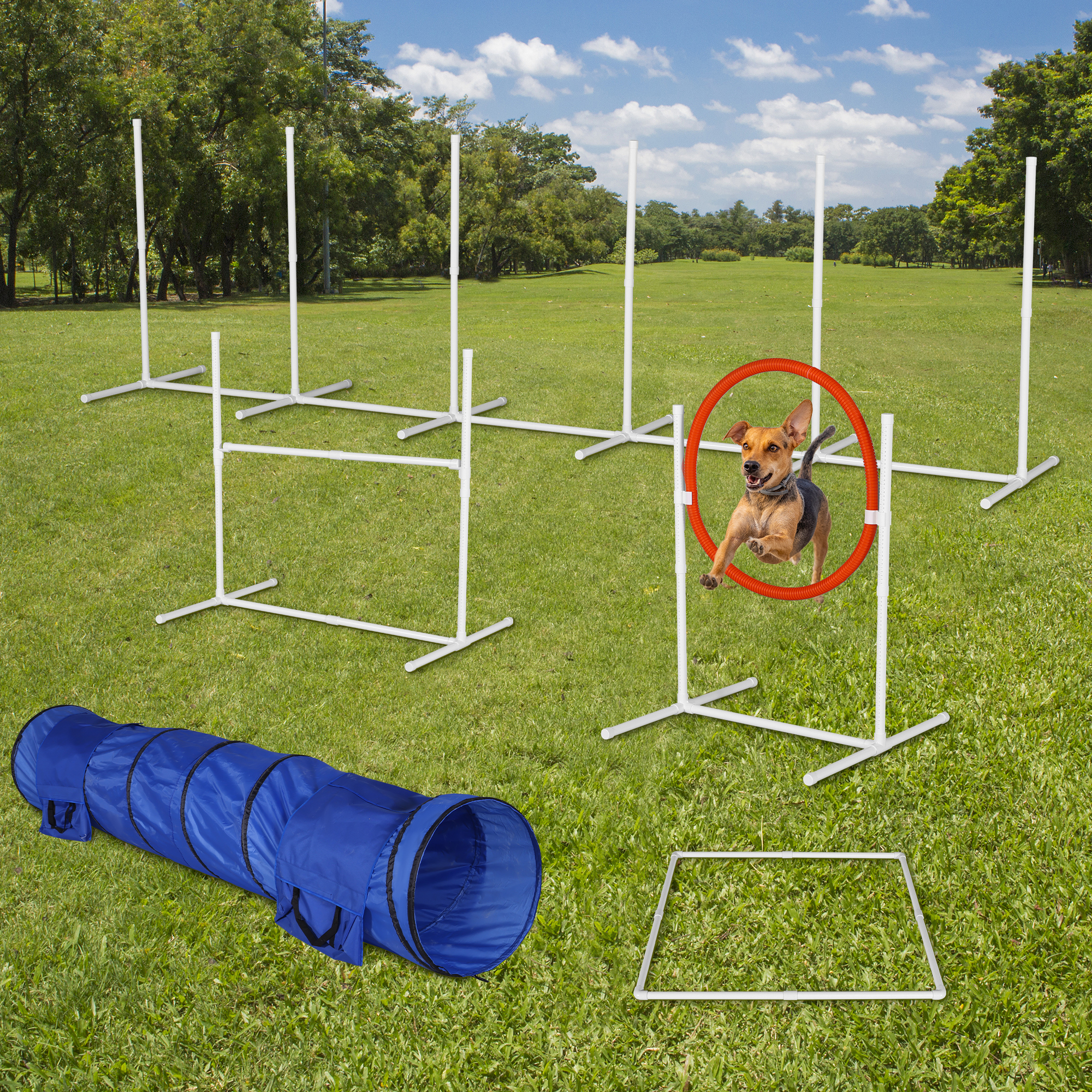 6Pack Dog Agility  Training Equipment Set