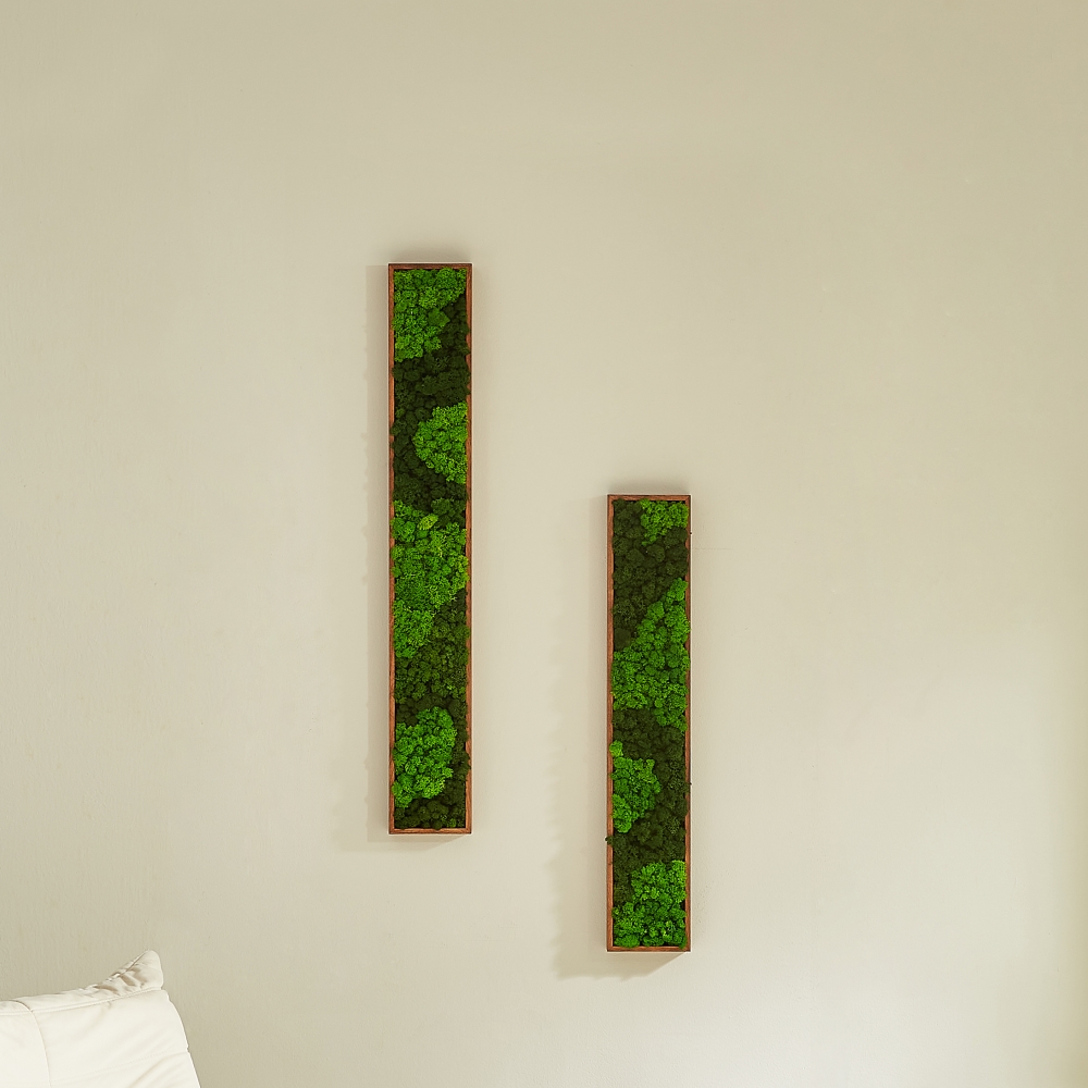 Rectangular Mixed Moss Wall Art, only the Medium pc