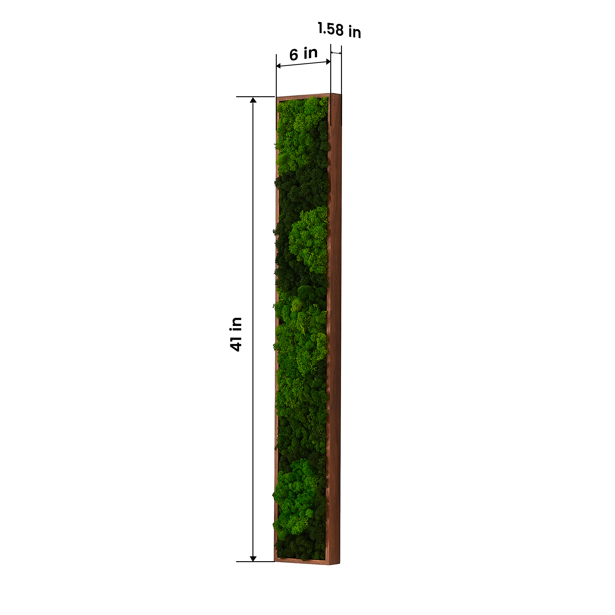 Rectangular Mixed Moss Wall Art, only the Medium pc