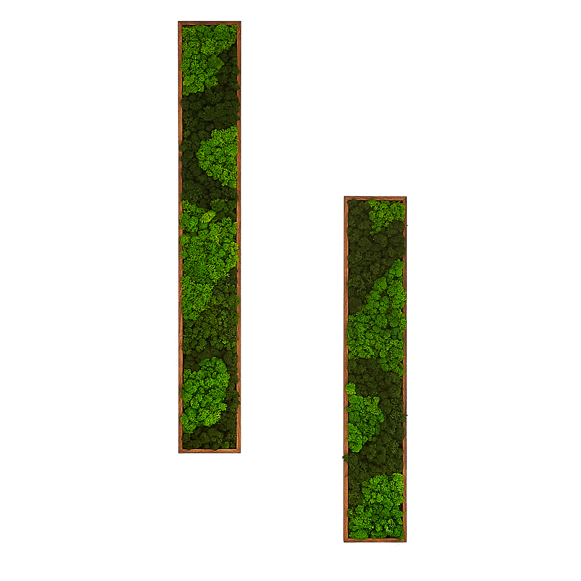 Rectangular Mixed Moss Wall Art, only the Medium pc