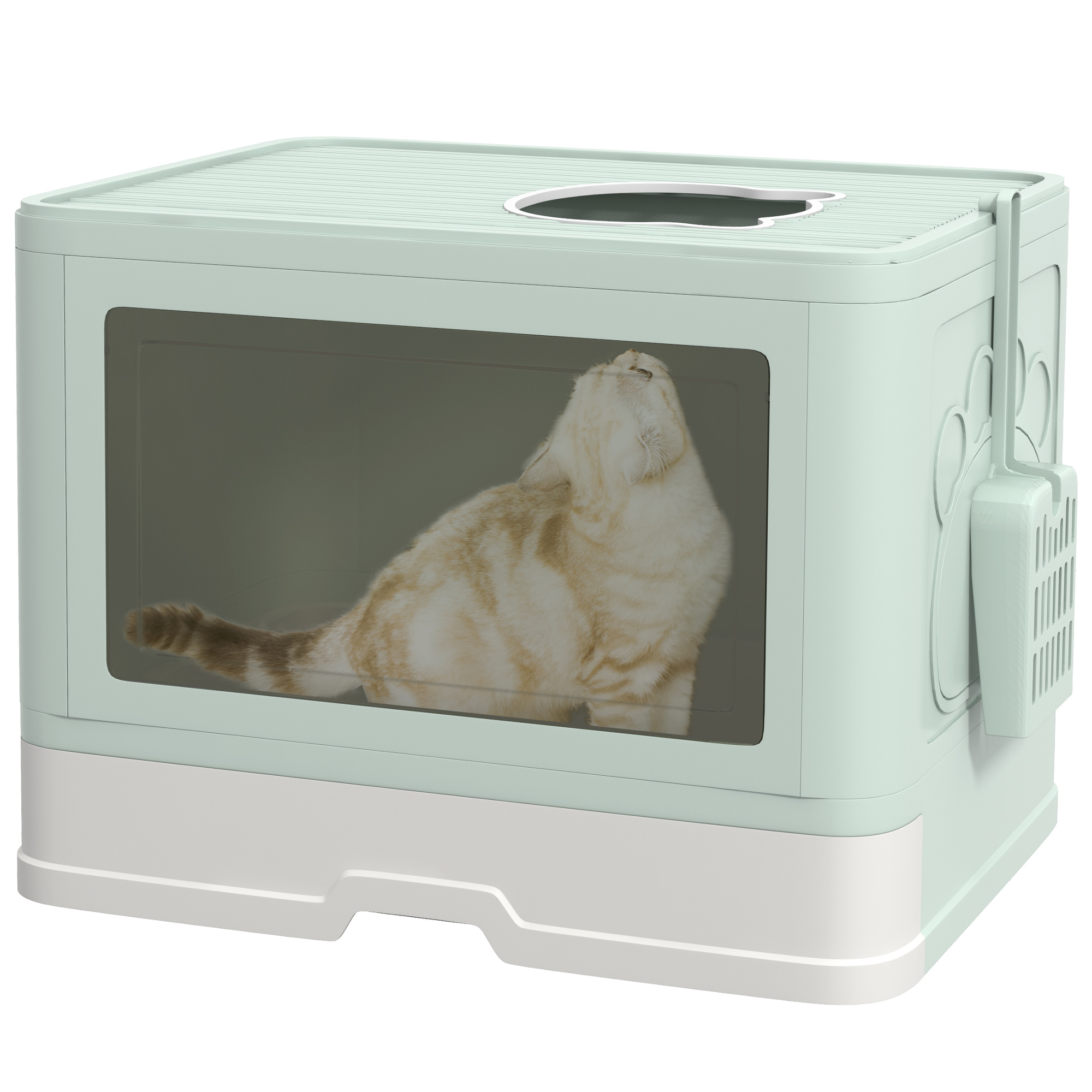 PawHut Cat Litter Box, Front Entry, Top Exit Cat Litter Tray, Odor Control Enclosed Cat Pan with Scoop, Pull-out Tray, Easy to Clean, Brush, Green