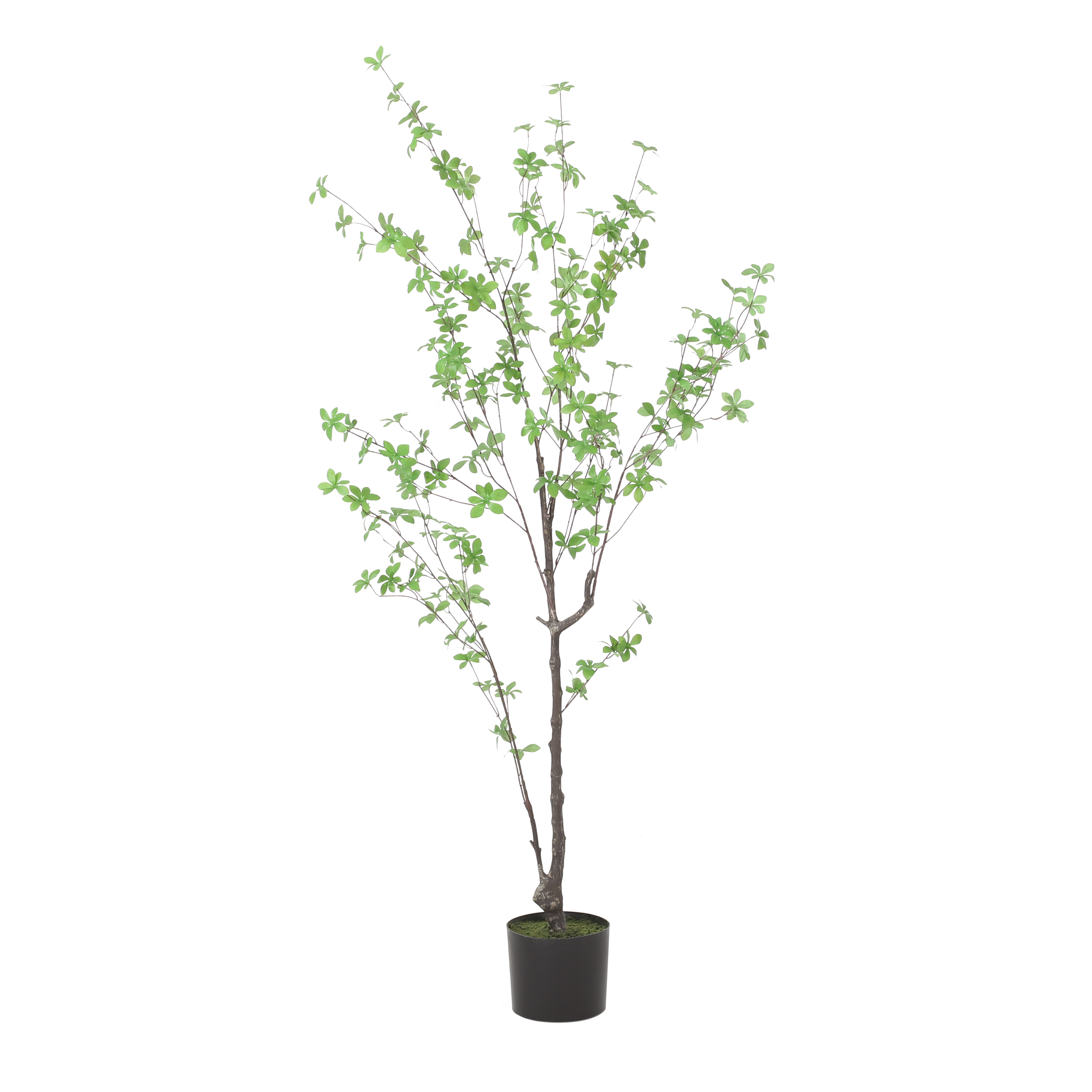 150CM ARTIFICIAL DISC LEAF TREE