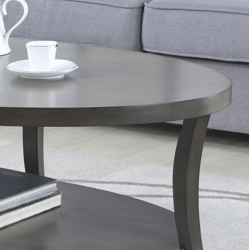 Perth Contemporary Oval Shelf Coffee Table, Gray