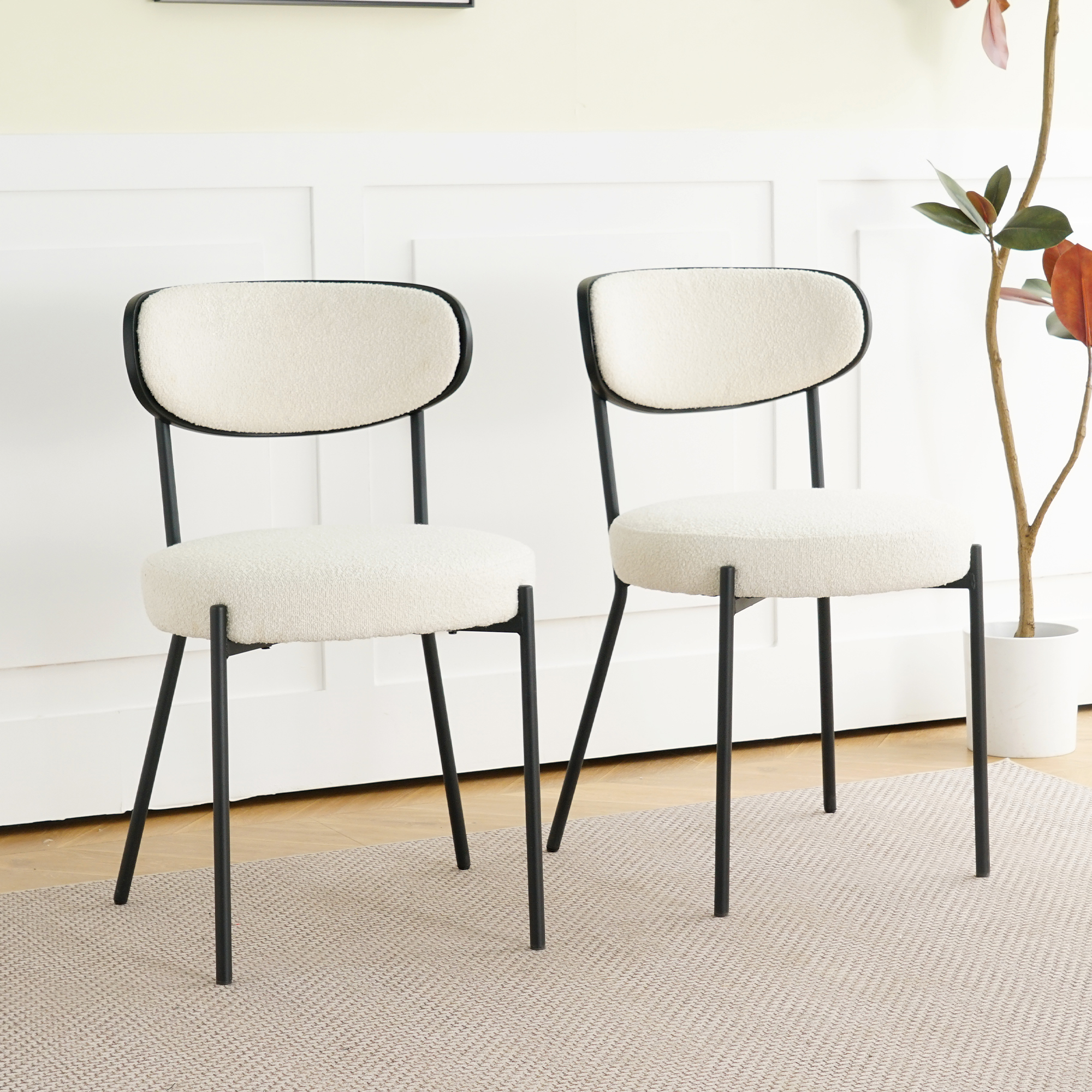 Teddy velvet dining chair, modern kitchen dining chair with back, metal with black powder coated leg chair, Bentwood covered with ash veneer Chair back, Kitchen Dining Room and living room (set of 2)