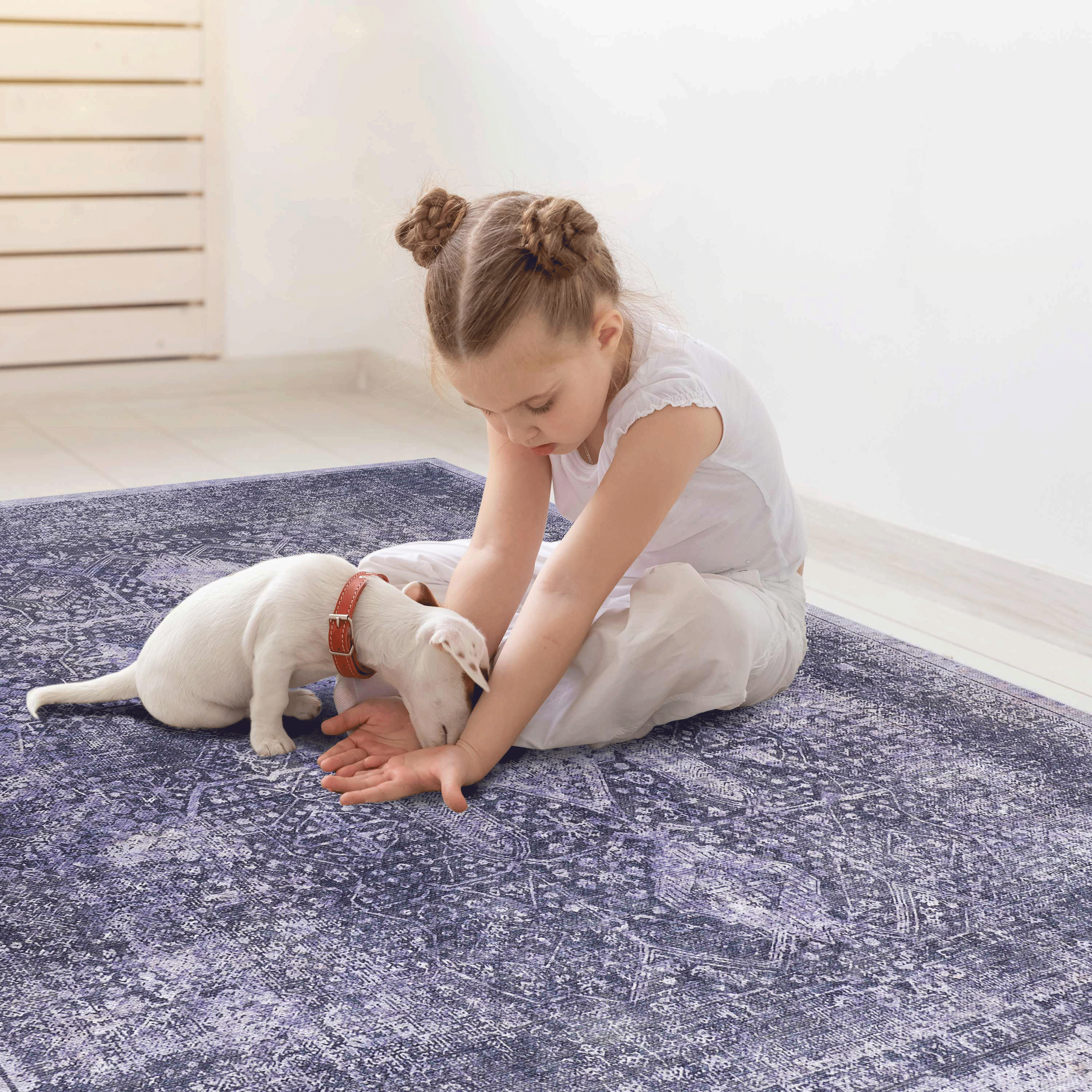 Naar 2x3, Machine Washable Area Rugs, Low-Pile, Non-Slip, Non-Shedding, Foldable, Kid & Pet Friendly - Area Rugs for living room, bedroom, kitchen, dining room rug - Perfect Gifts, (Anthracite, 2'x3')