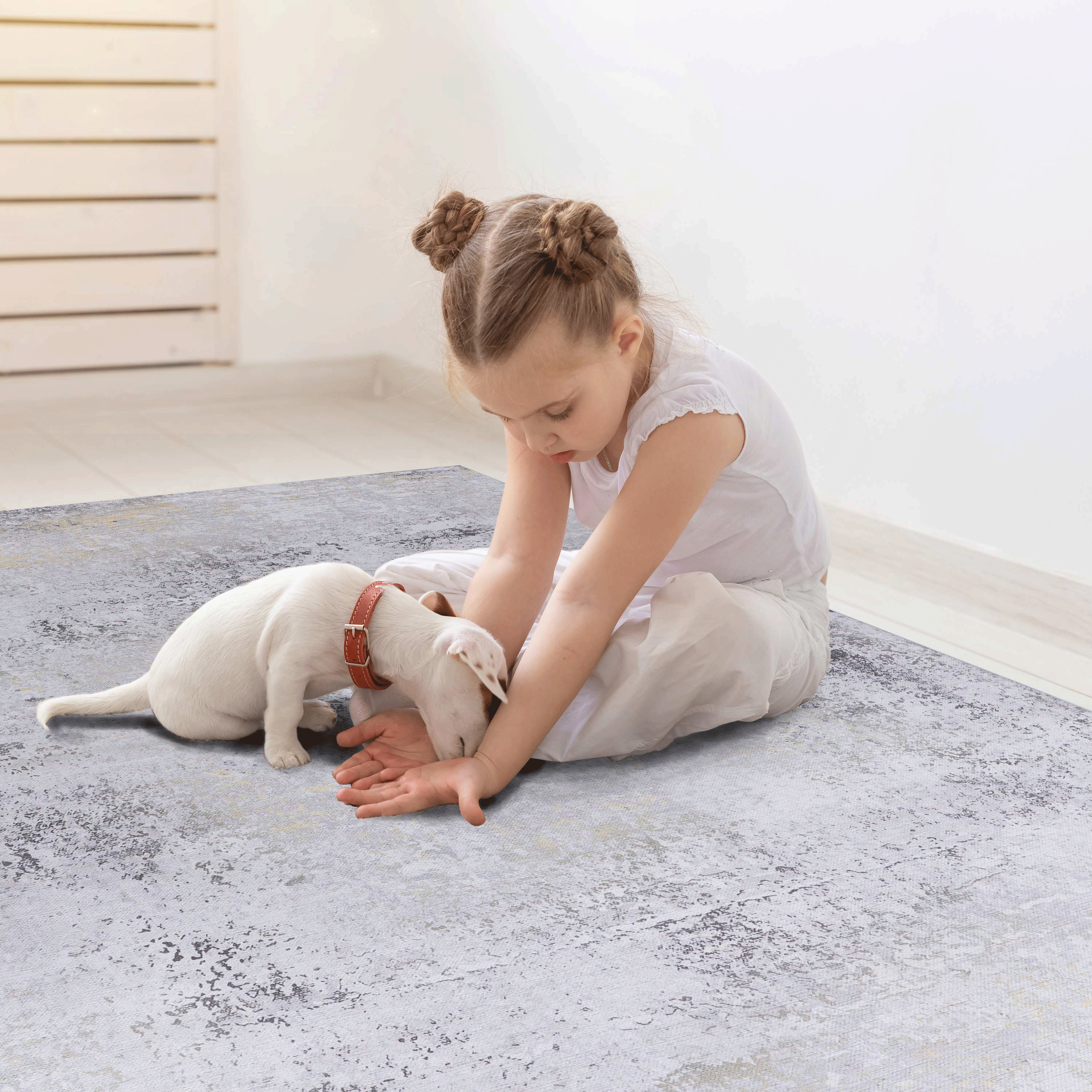 Naar 2x3, Machine Washable Area Rugs, Low-Pile, Non-Slip, Non-Shedding, Foldable, Kid & Pet Friendly - Area Rugs for living room, bedroom, kitchen, dining room rug - Perfect Gift, (Gray/Gold, 2' x 3')