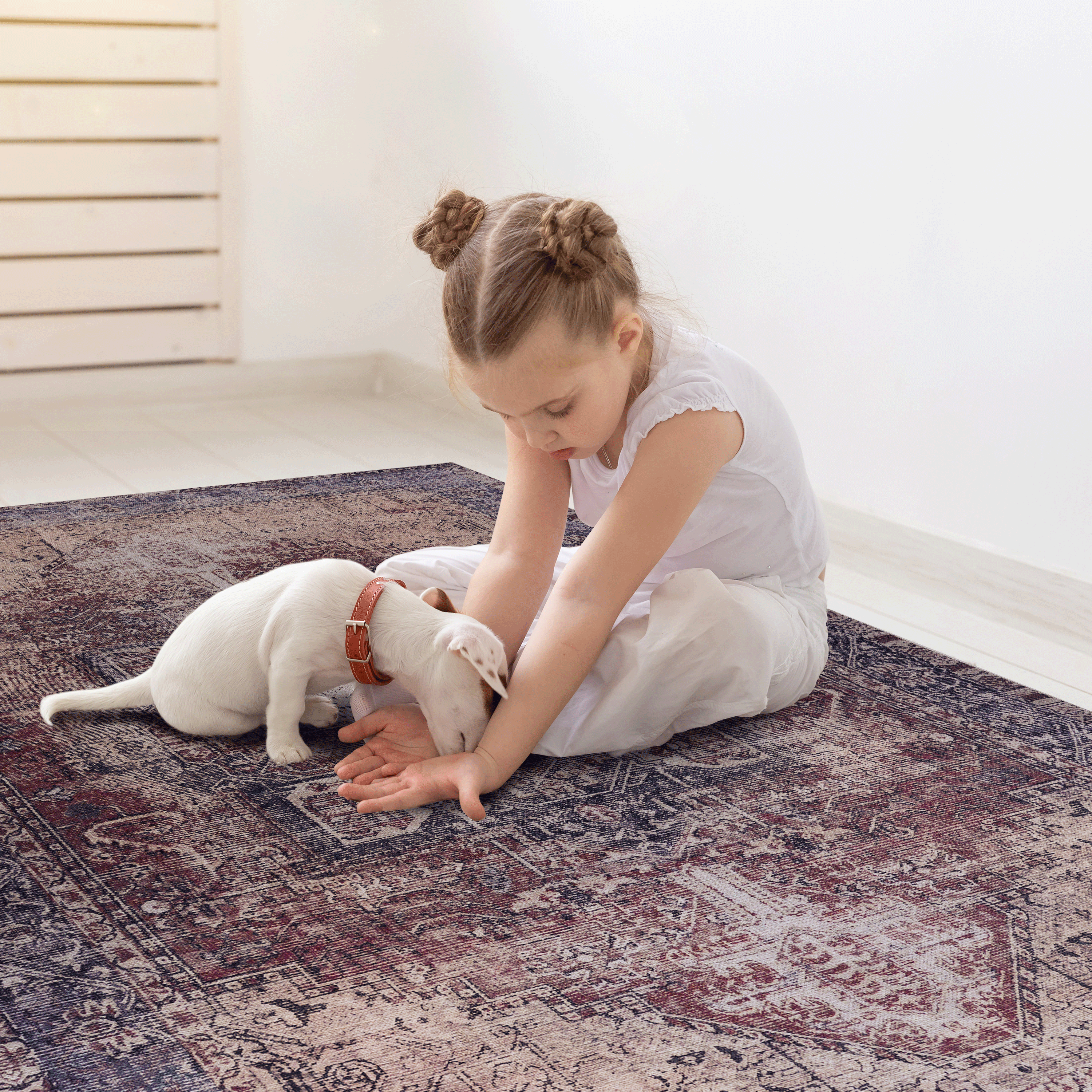 Naar 2x3  Washable Area Rugs, Low-Pile, Non-Slip, Non-Shedding, Foldable, Kid & Pet Friendly - Area Rugs for living room, bedroom, kitchen, dining room rug - Perfect Gifts, (Burgundy, 2' x 3')