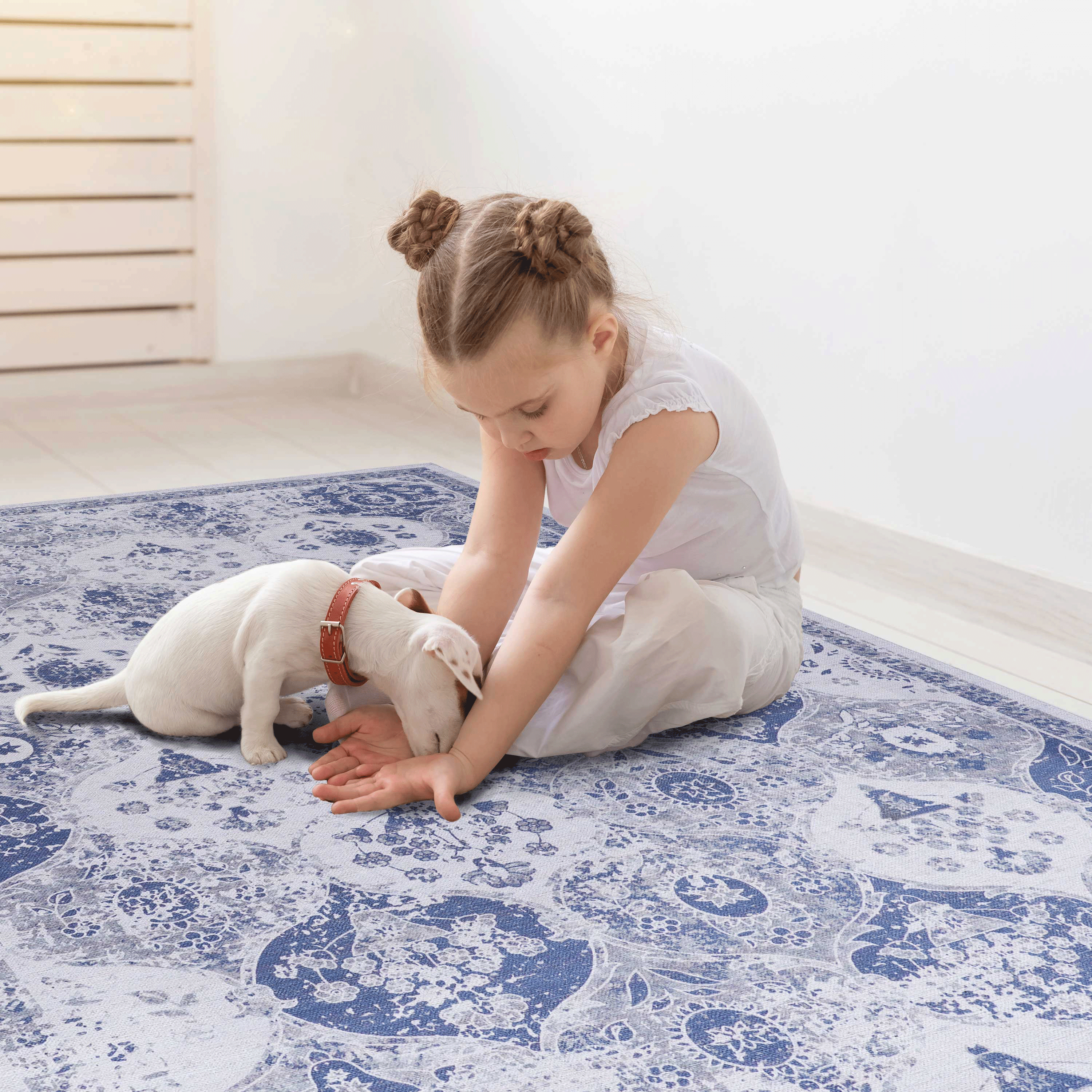 Naar 2x3 Blue Area Rug, Machine Washable Area Rugs, Low-Pile Non-Slip Non-Shedding Foldable Kid&Pet Friendly, Area Rugs for living room, bedroom, kitchen, dining room rug - Perfect Gift, (Blue, 2x3)