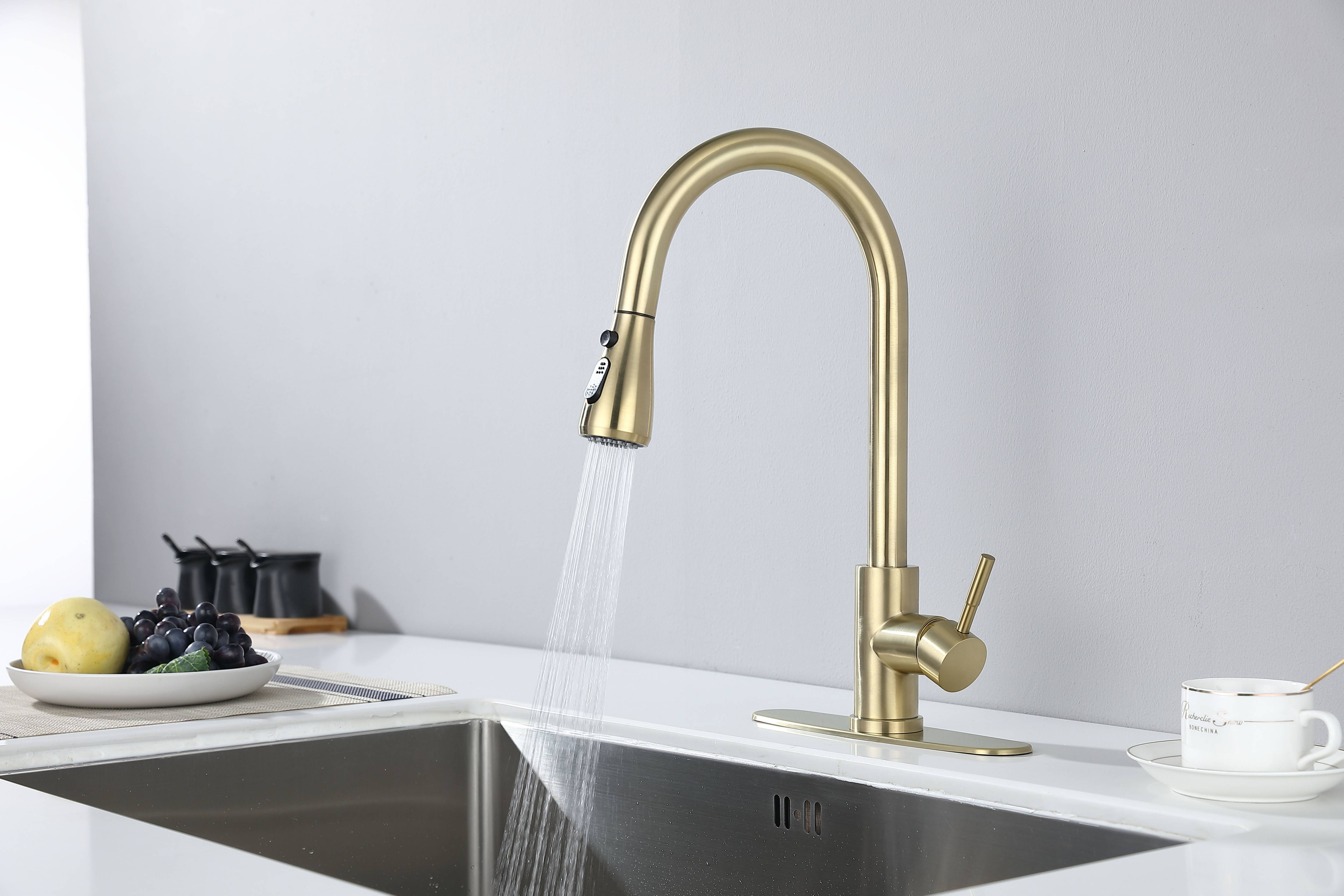 Kitchen Faucet with Pull Out Spraye