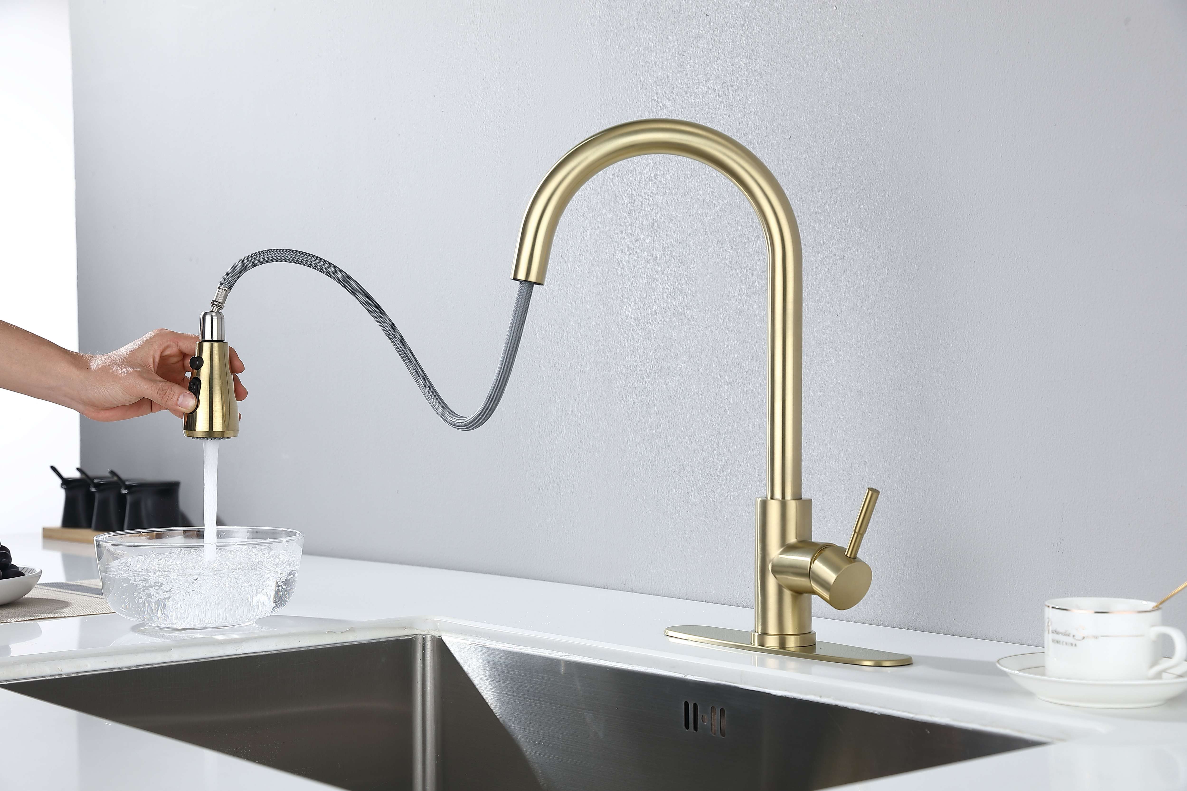 Kitchen Faucet with Pull Out Spraye