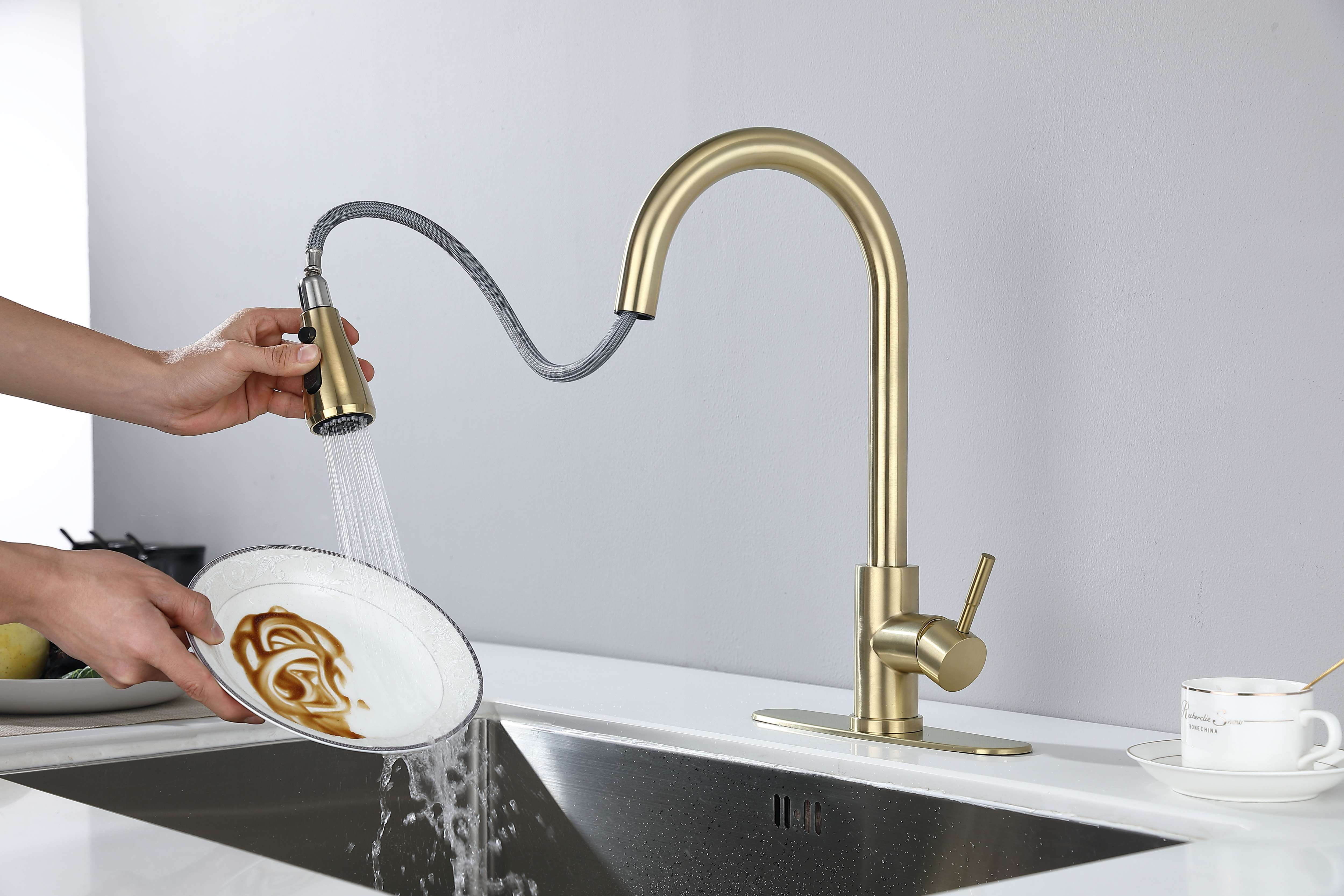 Kitchen Faucet with Pull Out Spraye